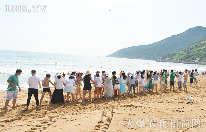 ���ܴ������w����