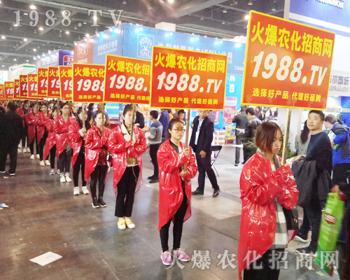     2017�������r(n��ng)ˎ���ו��ϻ��r(n��ng)���W(w��ng)��Ӣ�ɳ�������(zh��n)����