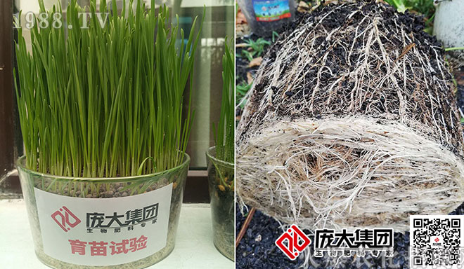 ���󼯈F(tu��n)��Ʒ�}(c��ng)��(k��)һ��