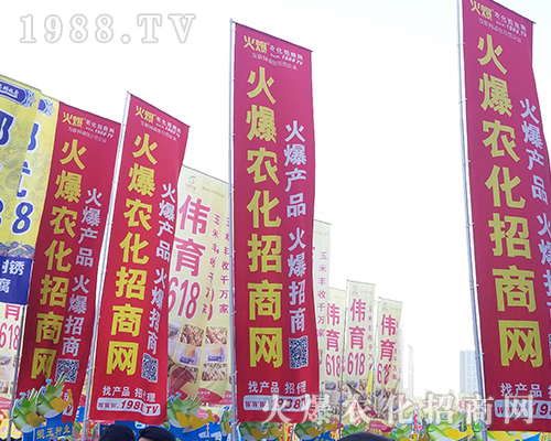 2018���������r(n��ng)ˎ����1988.TV����***��