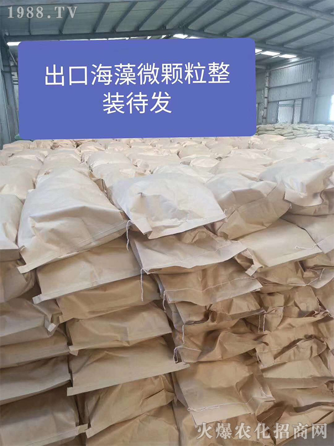 ���̼���