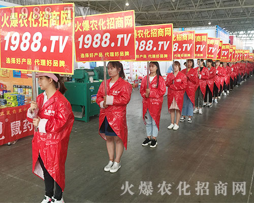2018�����r(n��ng)�Y����1988.TV�ٴγɞ�ȫ�����c��