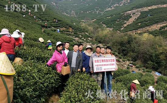 �ӱ����_������﹤�����޹�˾