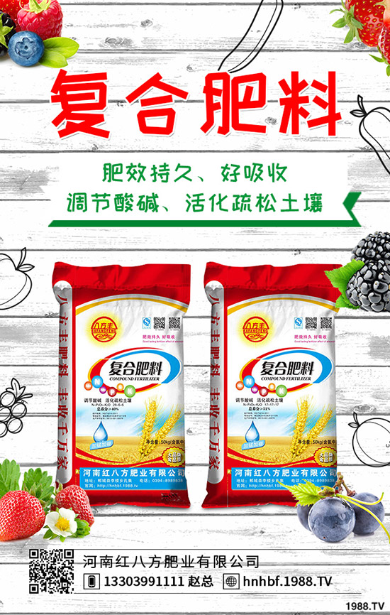 ����(n��i)���؏ͺϷ�����r���������2019-10-10