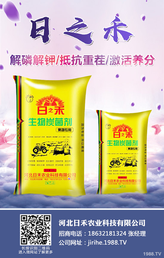 2019С��?zh��n)�ô�r��Nֲ��С���Nֲע��Ҫ�c(di��n)��