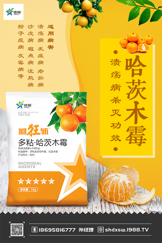 ���{(l��n)�ڰ߲�Σ���@ô��������ԓ��η��Σ������������