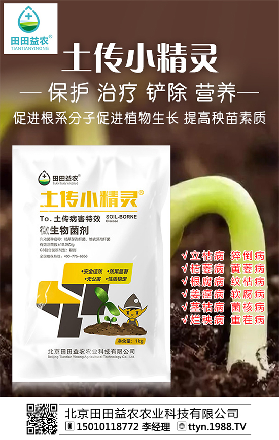 近日復(fù)合肥價(jià)格行情分析及后市預(yù)測2019-10-12