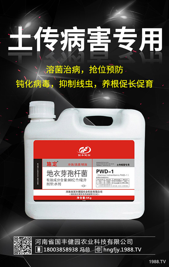 小麥除草劑什么時(shí)候打好，小麥打除草劑的時(shí)間及注意事項(xiàng)！