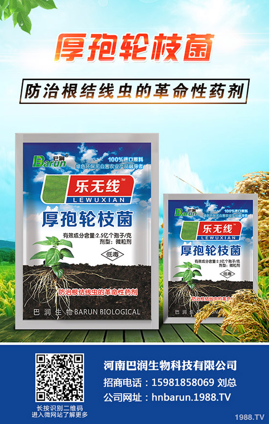 ����÷��ô�B(y��ng)������÷���B(y��ng)ֳ������ע����헣�