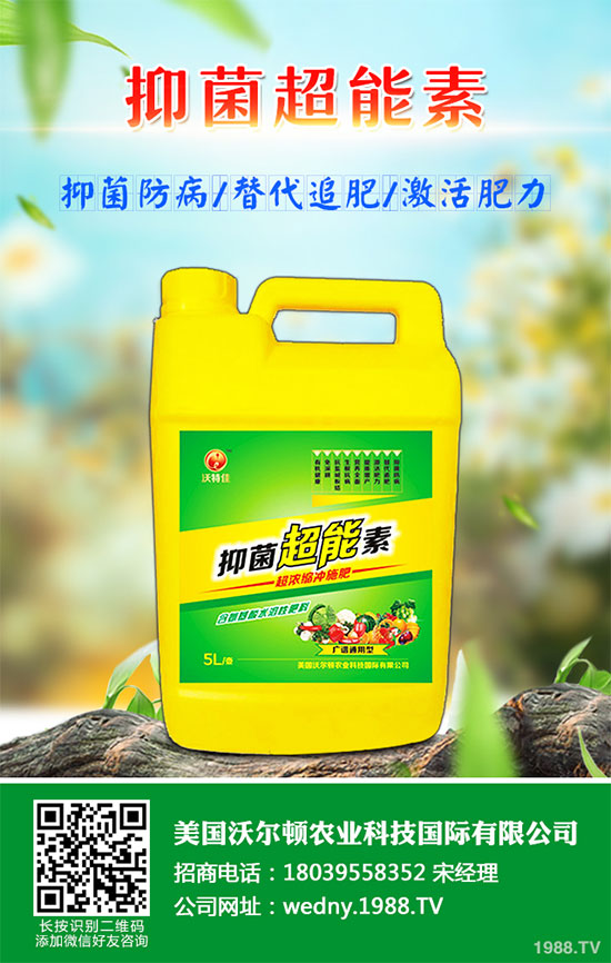 С�ײ������װ߲�ԓ��ô�k���ײ˰װ߲����δ�ʩ