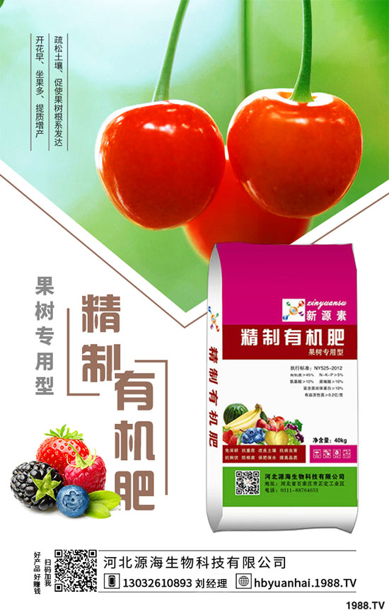 菠菜的生長習(xí)性如何？如何提高菠菜的產(chǎn)量？