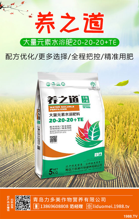 �ײ˰��P��Σ���@ô��������ԓ��η������ײ˰��P�����δ�ʩ