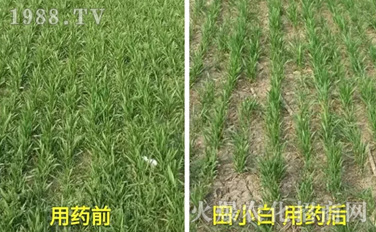 ��(ji��)��(ji��)����η�������ʲôˎ����ô��ˎЧ������