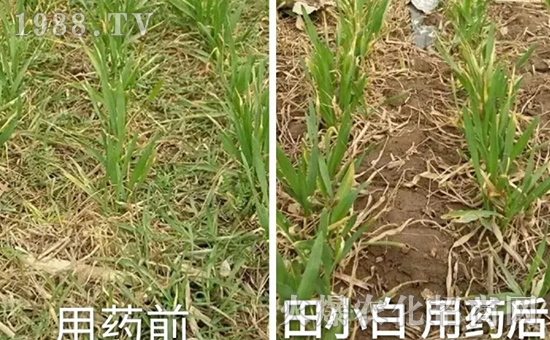 ��(ji��)��(ji��)����η�������ʲôˎ����ô��ˎЧ���ã�