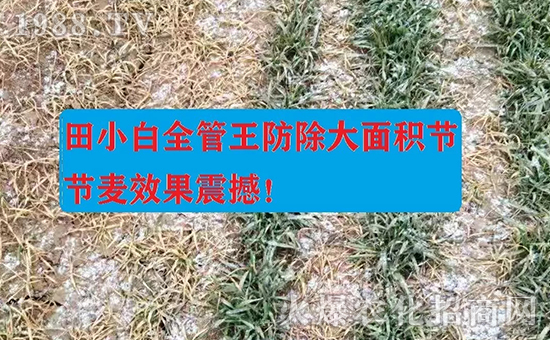 ��(ji��)��(ji��)����η�������ʲôˎ����ô��ˎЧ������