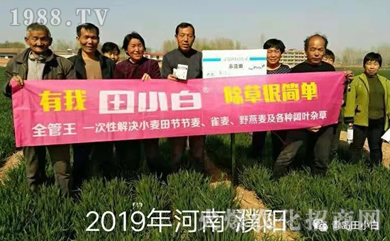 39��(ji��)��(ji��)����η�������ʲôˎ����ô��ˎЧ������