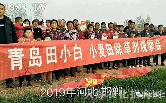 ��(ji��)��(ji��)����η�������ʲôˎ����ô��ˎЧ������