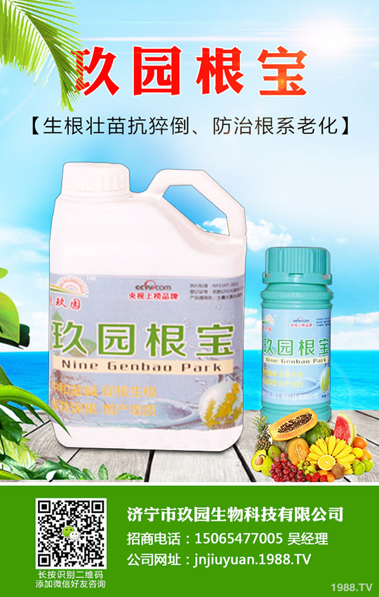 �������x��η����������x��Σ�����l(f��)��Ҏ(gu��)�ɣ�