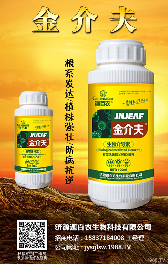 ���������o��������ô�k�������o���������\���c������