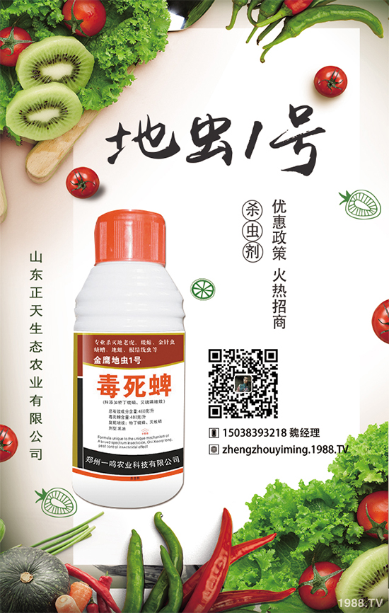 �����}����ηNֲ�������}����Ҫע��ʲô��