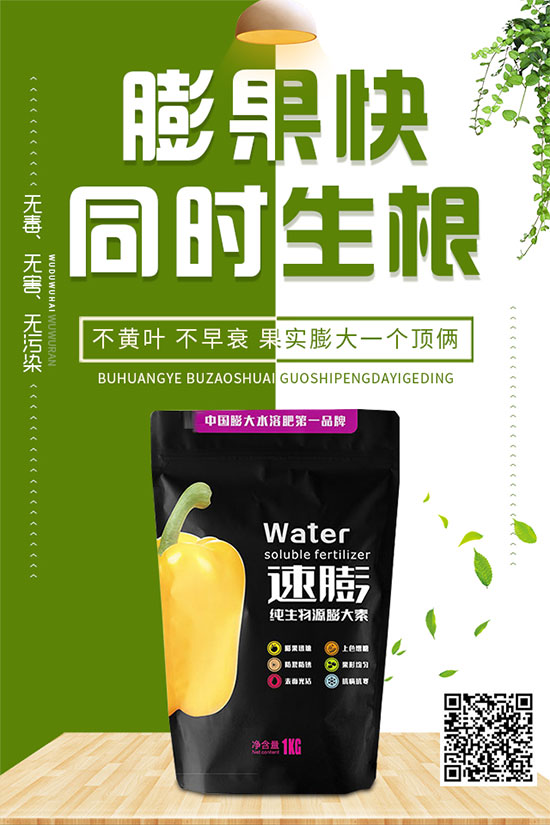 白菜霜霉病是如何引起的？有哪些危害？白菜霜霉病的預(yù)防措施