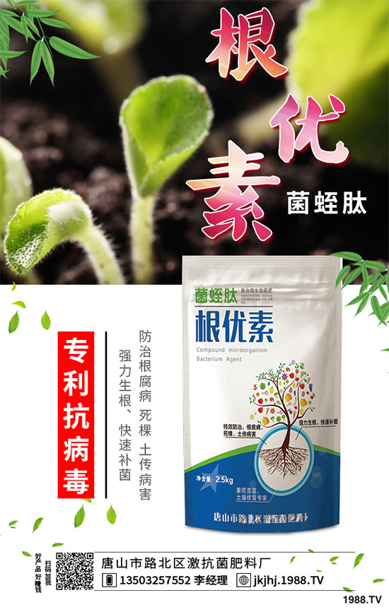 白菜霜霉病是如何引起的？有哪些危害？白菜霜霉病的預(yù)防措施