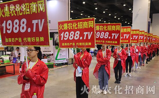 ǧ�̅R������Ʒ�Ƽ�|2019�����r(n��ng)����ʢ���_Ļ��