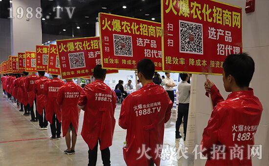 ǧ�̅R������Ʒ�Ƽ�|2019�����r(n��ng)����ʢ���_Ļ��