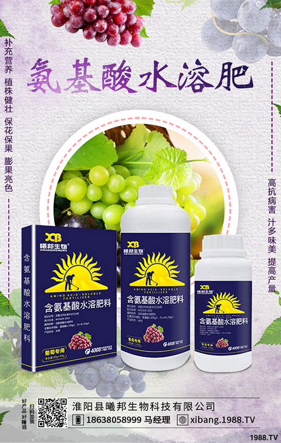 �＾�}����ô�Nֲ���＾�}���Nֲ���g(sh��)������Ҫ�c��