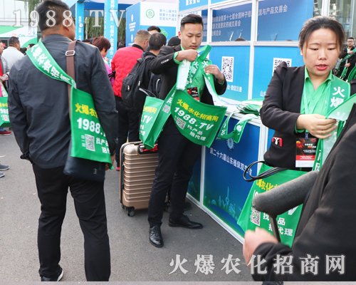 2019ɽ�|����ֲ������1988.TV�������F(xi��n)�����P(gu��n)ע��