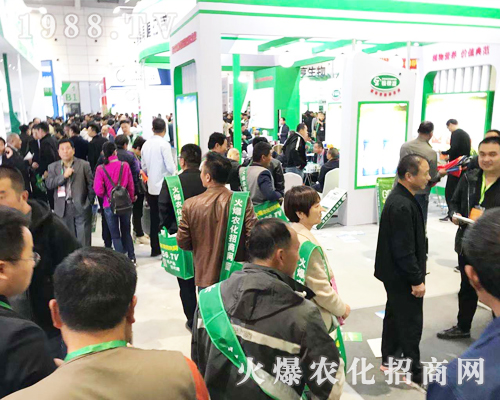 1988.TV���r(n��ng)�����̾W(w��ng)2019ɽ�|����ֲ���������L(f��ng)�ɣ�