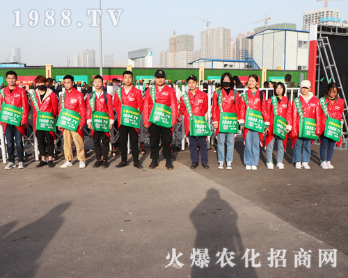 2019ɽ�|ֲ���p�������r(n��ng)���W(w��ng)韲���ǰ�����˿s