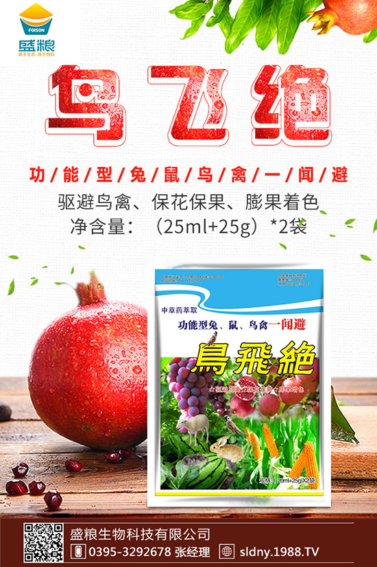 �������t������ڷ����������t���ڷ۷�������Щ��