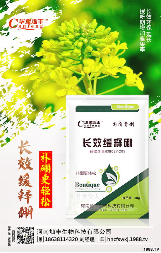 ���{(l��n)���ݲ����u������ԓ��η��������{(l��n)���ݲ����δ�ʩ