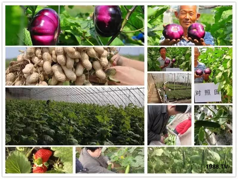 �VԴ�S����⛡�����Ʒ����1����=8���ЙC(j��)�����½�Դ�^ֱ�l(f��)������