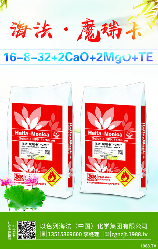     2019��11����Ѯ������@�r�������߄ݾC�Ϸ�����