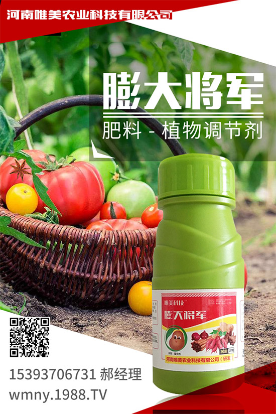 吃西柚有什么好處？挑選西柚的小技巧！