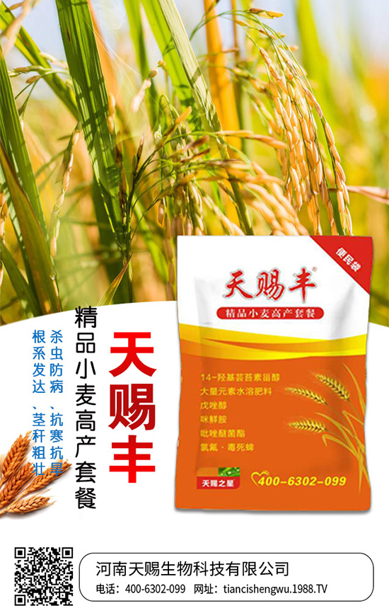 �������n����Ƽ����޹�˾