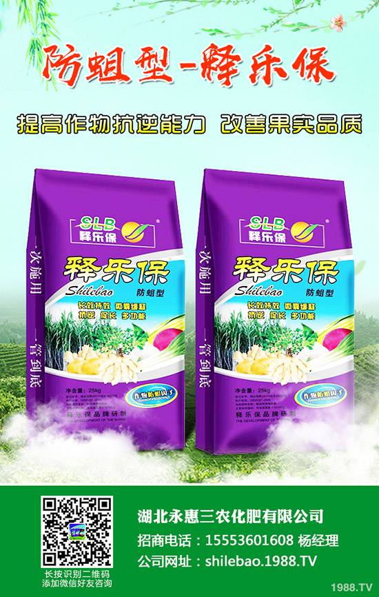     2019��11�µ���������⛷��Ј��r(ji��)�������߄��A(y��)�y��