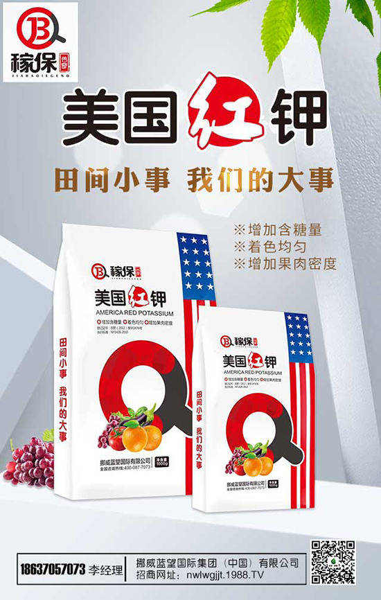 ���㻨�B(y��ng)ֳ��������Щ�����㻨�B(y��ng)ֳע�������