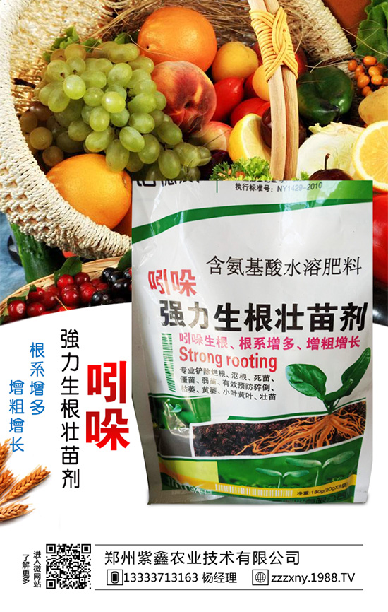 ��֥��Nֲ�r�g��ʲô�r��᣿��֥��Nֲ�������g(sh��)��