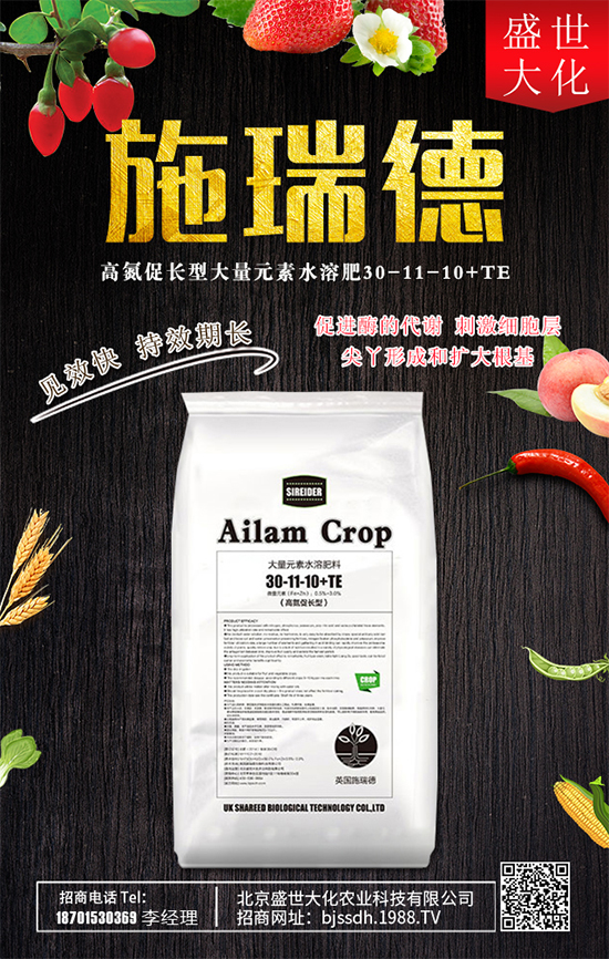 ʯ����ʲô�I(y��ng)�B(y��ng)�r(ji��)ֵ��ʯ������Щʳ�ù�Ч��