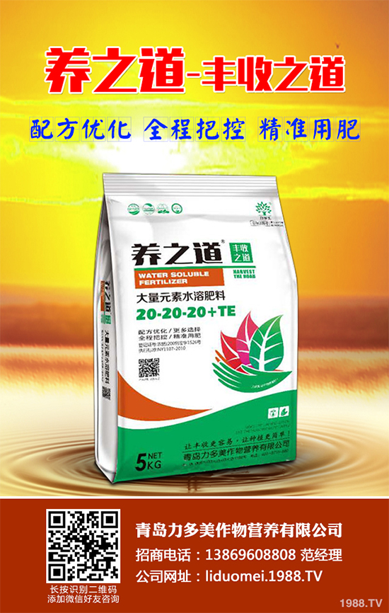 ��Ƥ�ɼٻ���զ��������Ƥ�ɼٻ��Q��ʩ