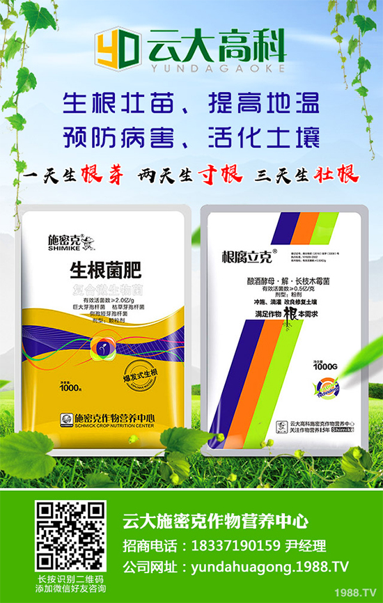 ��������ֲ��Ƥ�Ɇ�����Ƥ�ɶ�����ֲ����