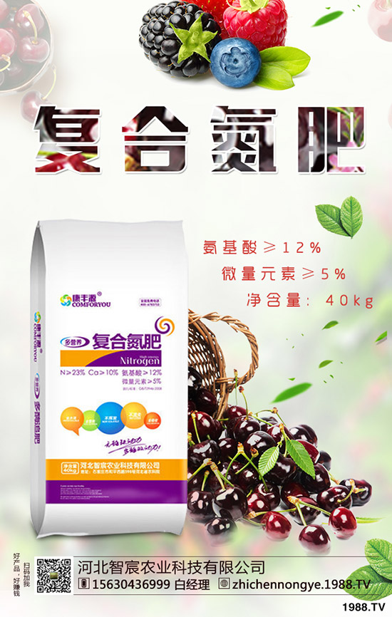 2019.11.29������ӯ̝��߅��ԇ̽���������������Ј���r��