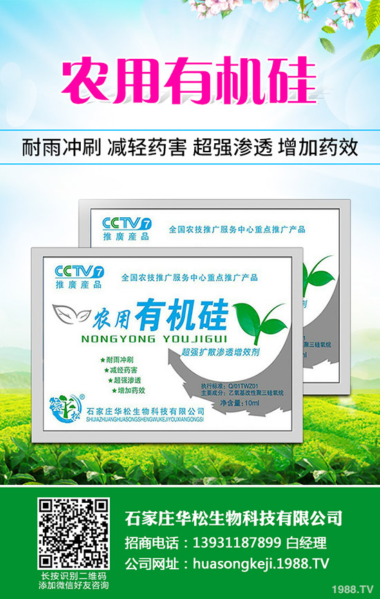 �ʲݵķNֲ��������Щ���ʲݷNֲ��Ҫʲô�ӭh(hu��n)����