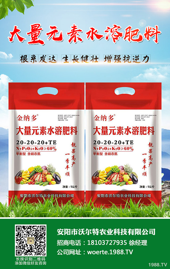 ������ô�N�����۷NֲҪ������Щ��