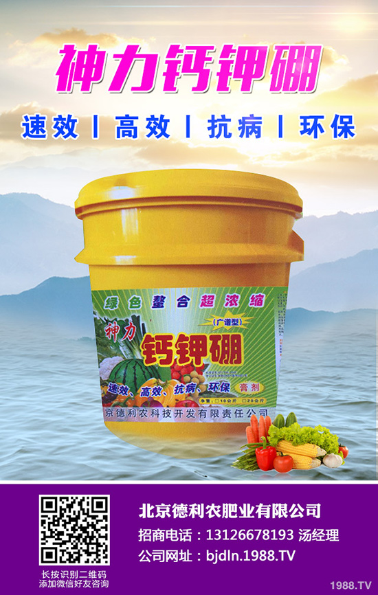 ���¹ϷNֲǰ����������¹ϷNֲҪ�c��