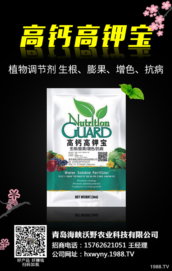 �Ϳ��Nֲǰ��Ҫ��(zh��n)����Щ�������Ϳ��Nֲ��������Щ��