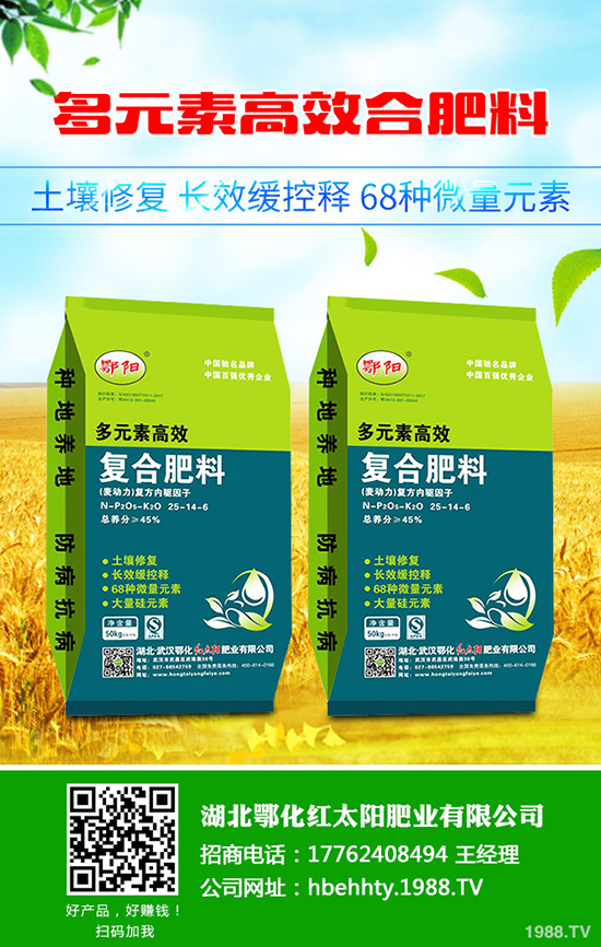 ��Ƥ������ô�N����Ƥ����Nֲ���g����Щ��